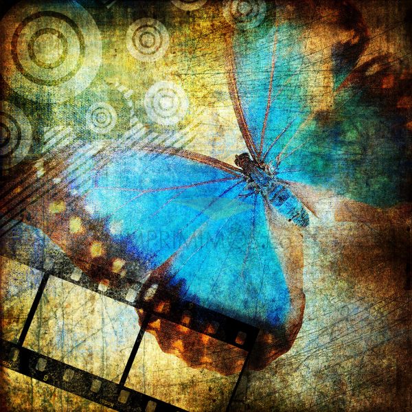 Abstracto Mariposa 3