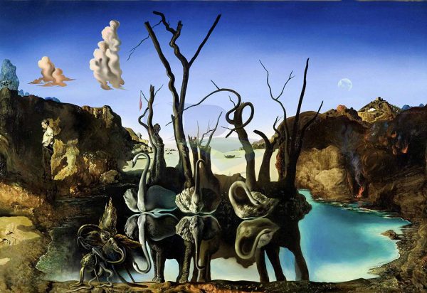 Salvador Dali Cisnes que se reflejan