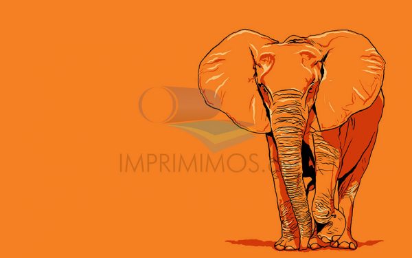 Elefante pop art 001