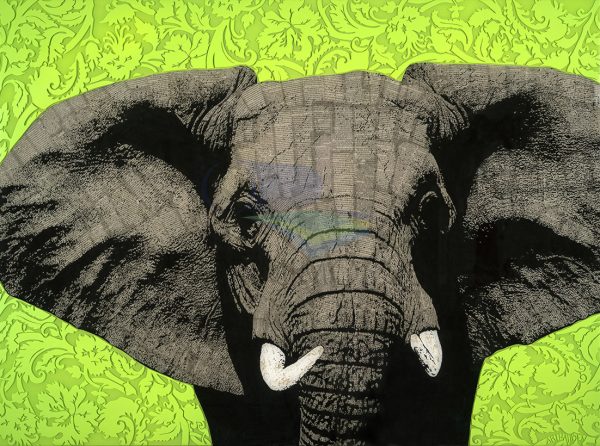 Elefante pop art 002