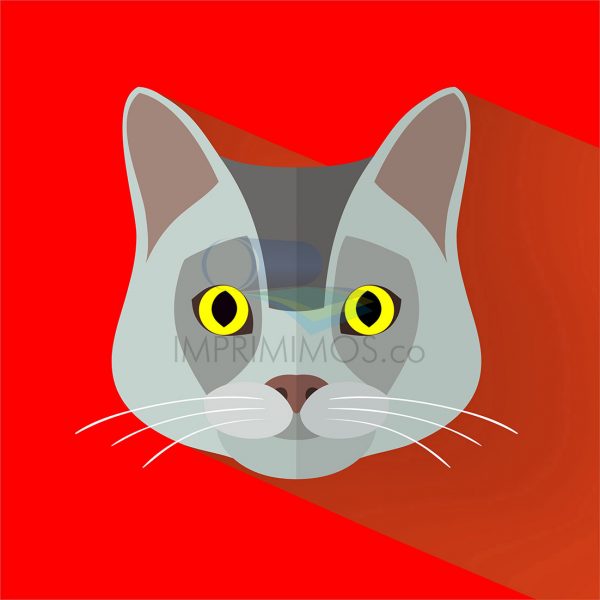 Gato caras ilustración 001