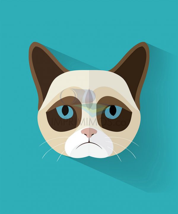 Gato caras ilustración 002