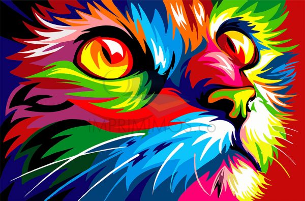 Gato color