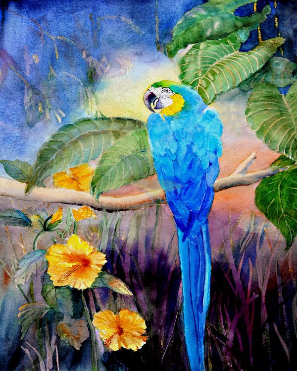 Guacamaya arte