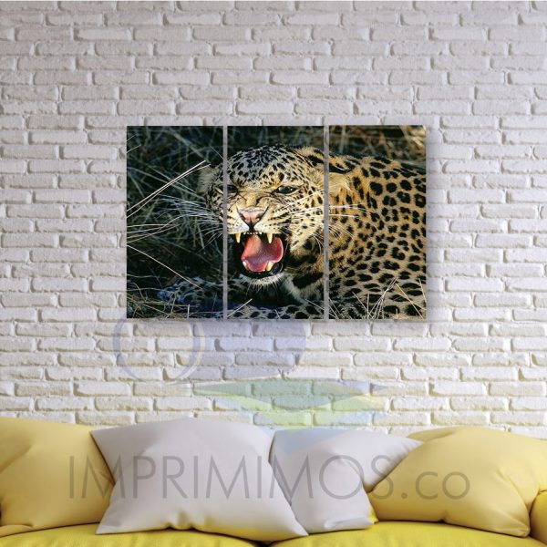 Leopardo 004 - Imagen 2