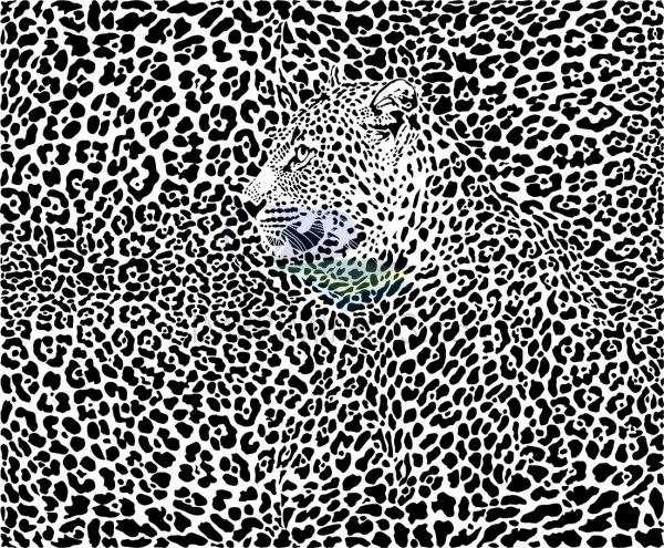 Leopardo Blanco y Negro 001