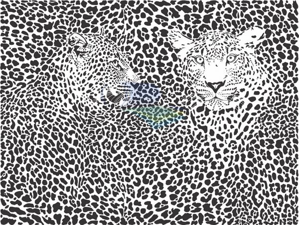 Leopardo Blanco y Negro 002