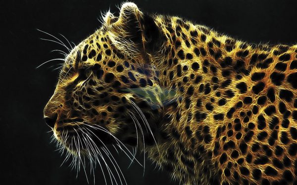 Leopardo neón 001