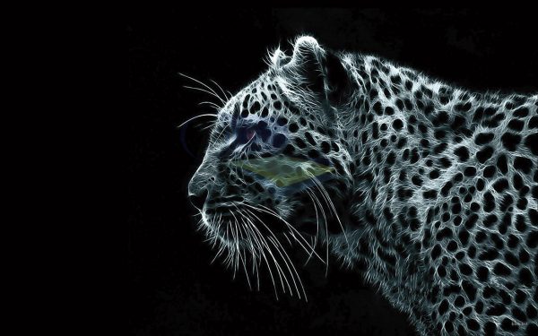 Leopardo neón 002