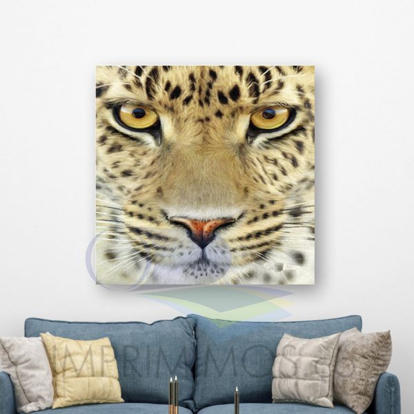 Leopardo rostro - Imagen 2