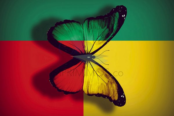 Mariposa reggae