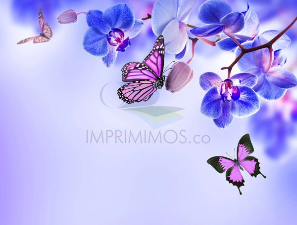 Mariposas azules 004