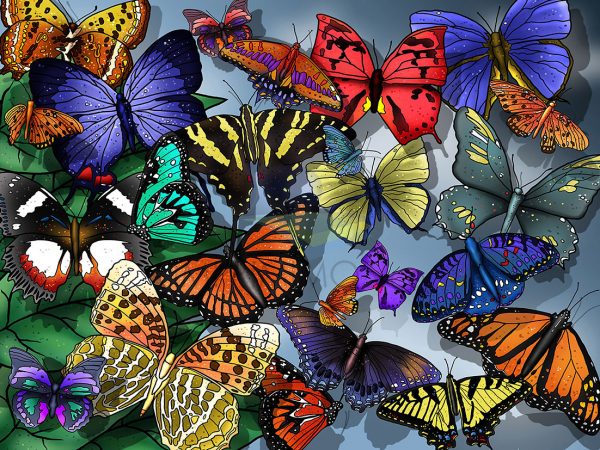 Mariposas colores 002