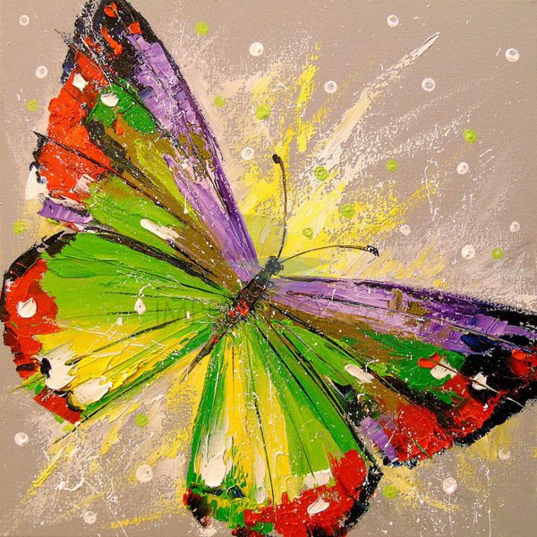 Mariposas colores 005