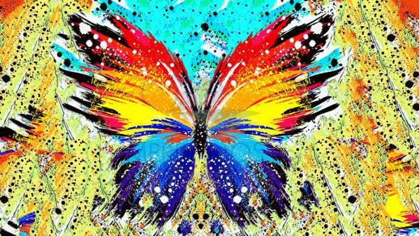 Mariposas colores 006