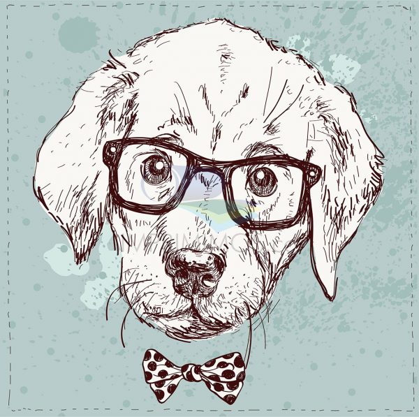 Perro Corbatín y Gafas