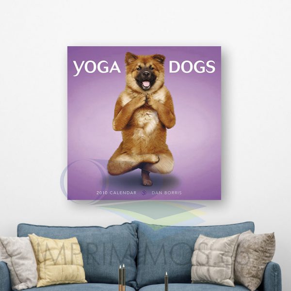 Perro yoga 001 - Imagen 2