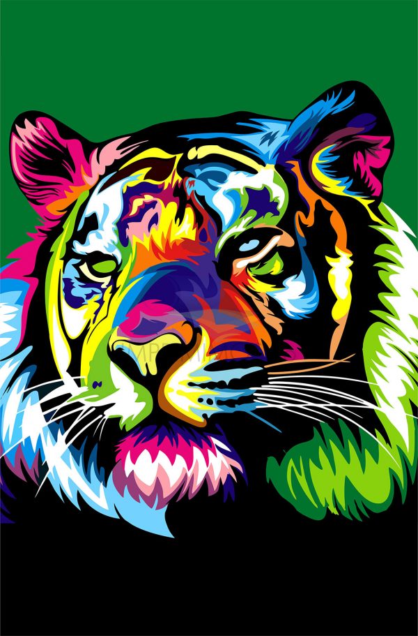 Tigre color 002