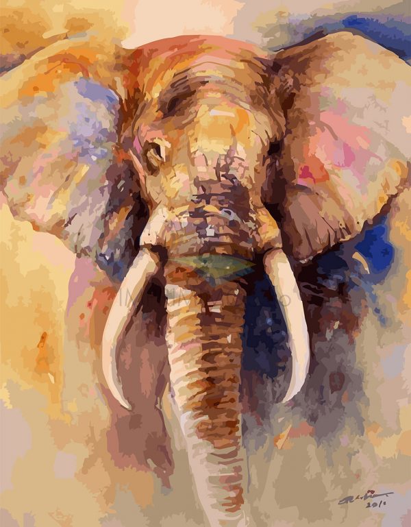 Elefante Arte 008