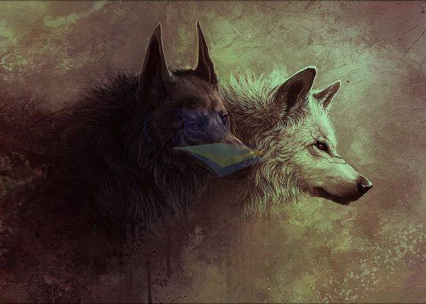 Lobos 001