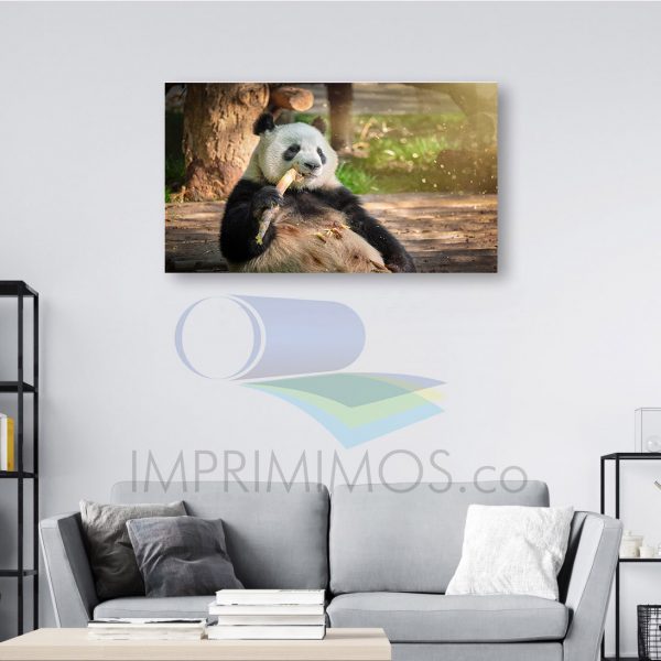 Oso panda 001 - Imagen 2